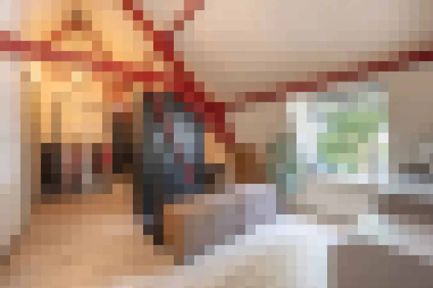 Brabersweg 25 Mijnsheerenland thumbnail 30