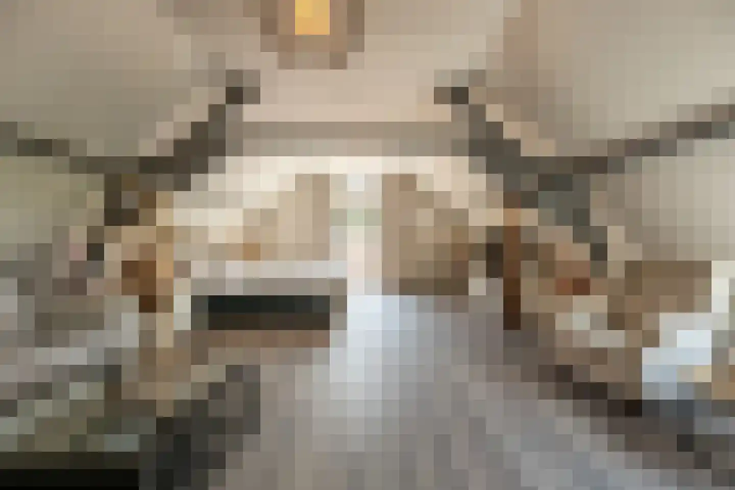 Brabersweg 25 Mijnsheerenland thumbnail 31