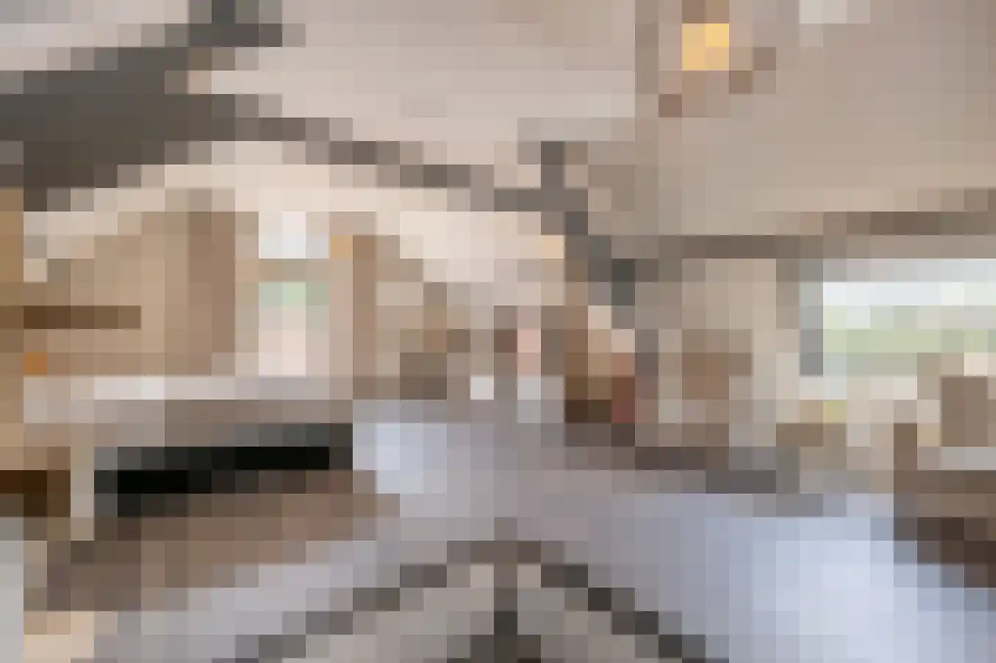 Brabersweg 25 Mijnsheerenland thumbnail 32