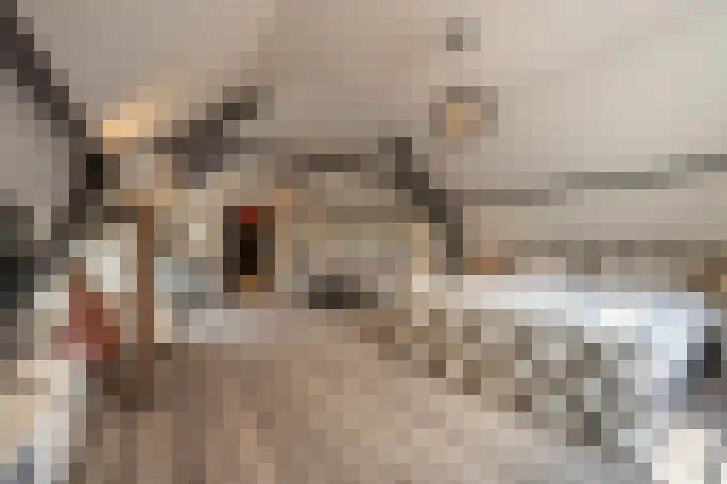 Brabersweg 25 Mijnsheerenland thumbnail 34