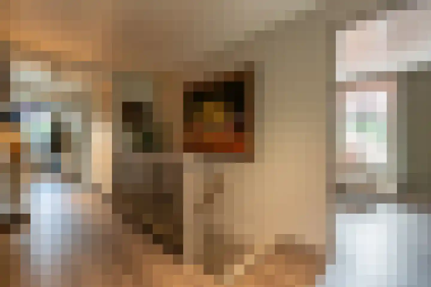 Brabersweg 25 Mijnsheerenland thumbnail 37