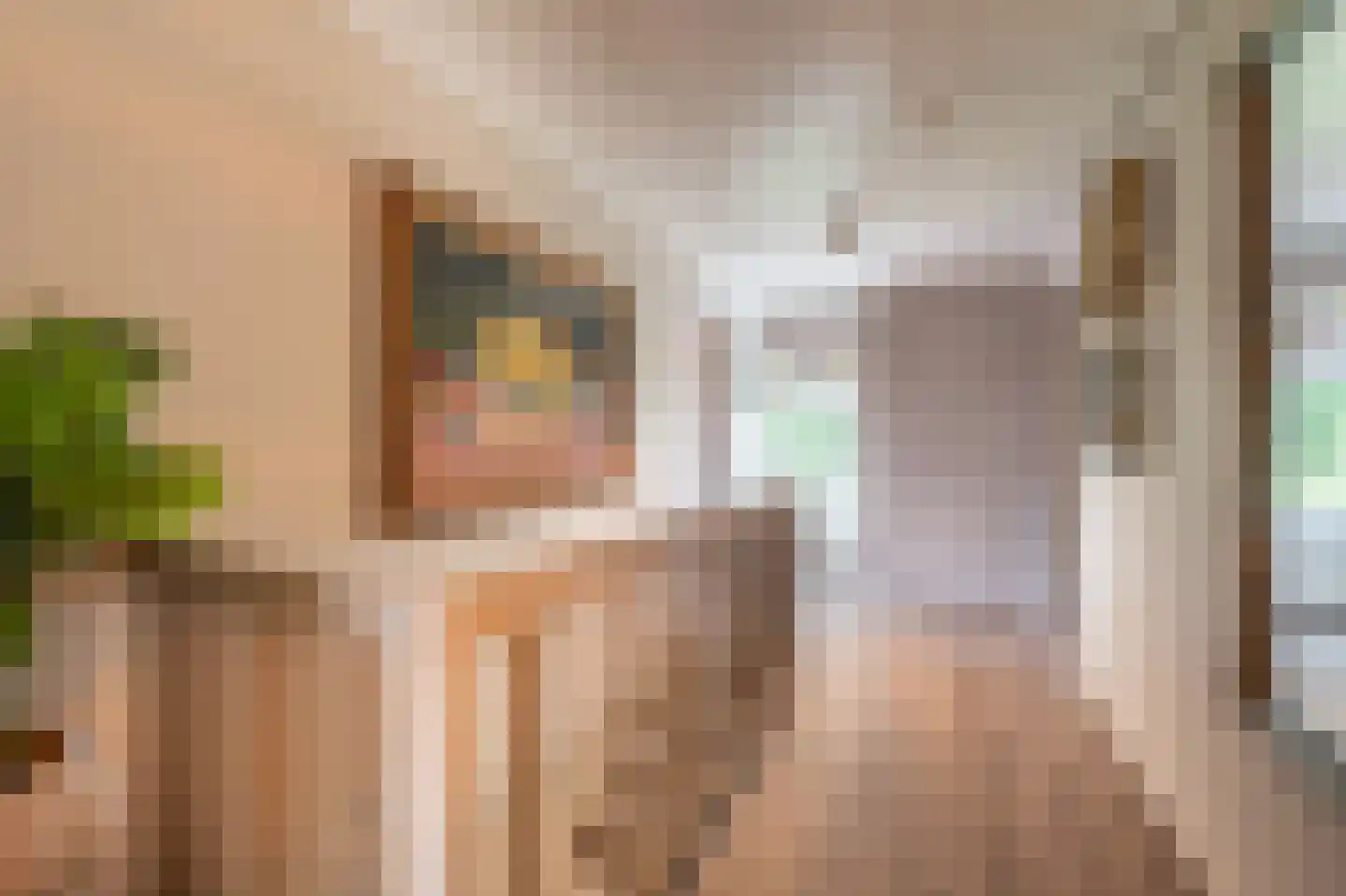 Brabersweg 25 Mijnsheerenland thumbnail 38
