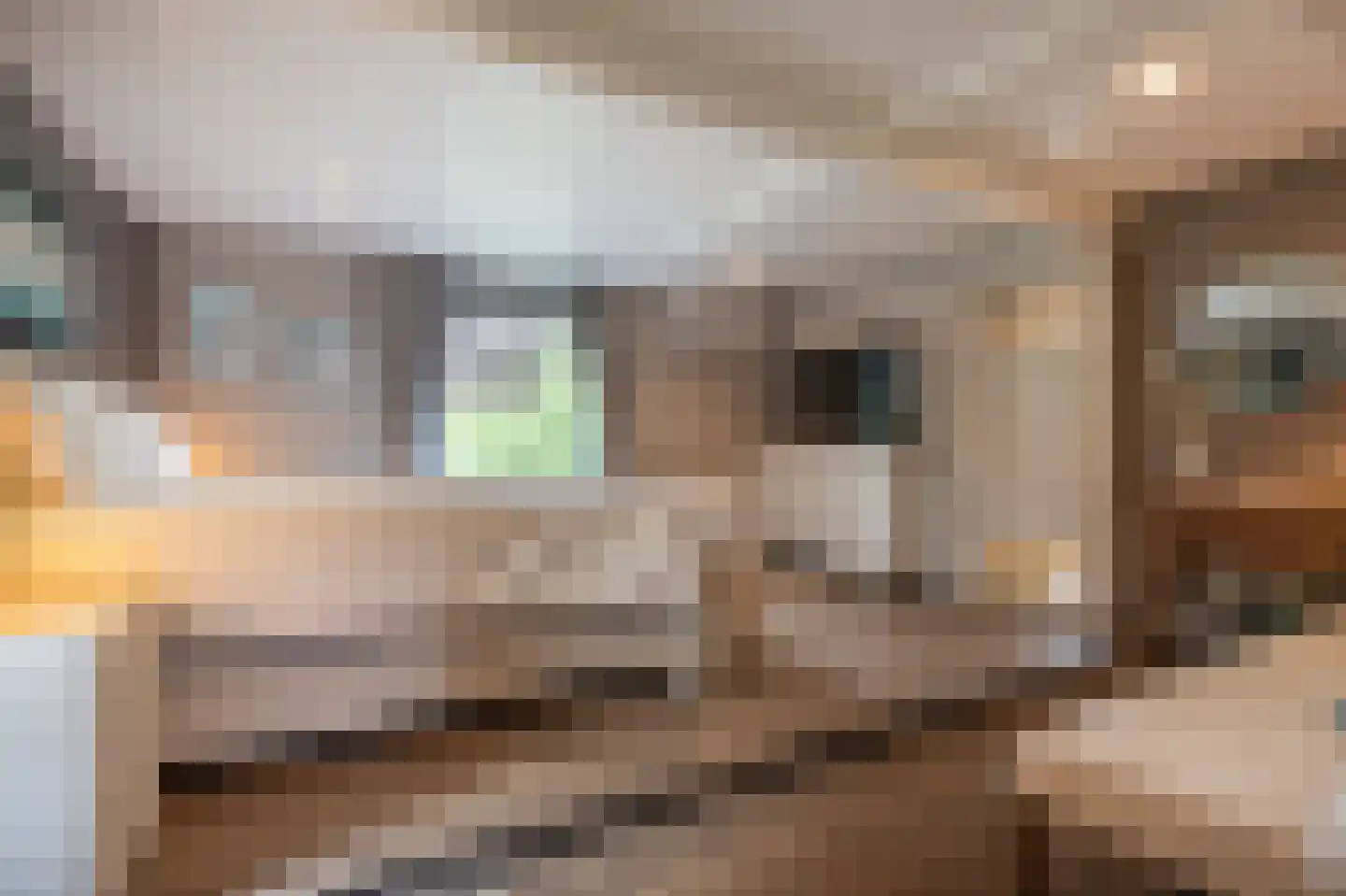 Brabersweg 25 Mijnsheerenland thumbnail 39