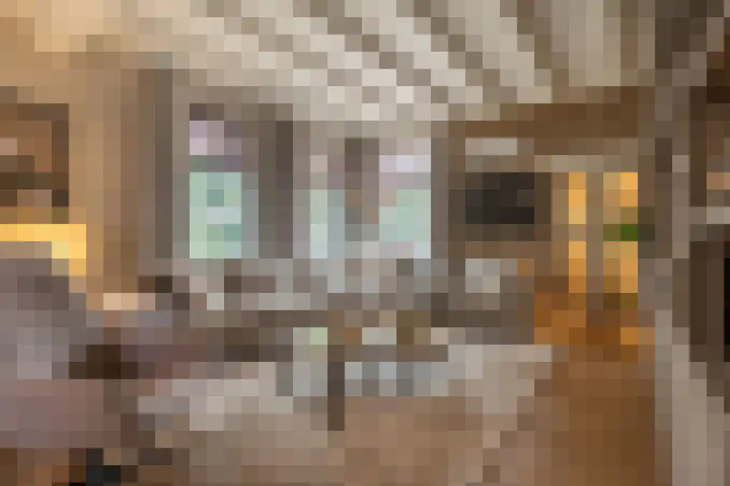 Brabersweg 25 Mijnsheerenland thumbnail 4