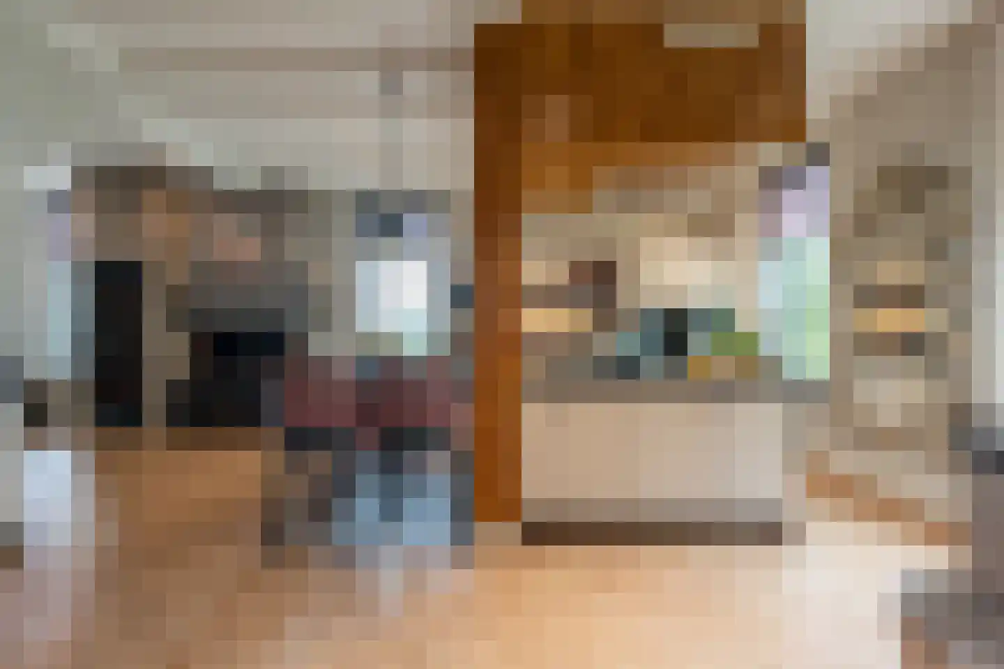 Brabersweg 25 Mijnsheerenland thumbnail 5