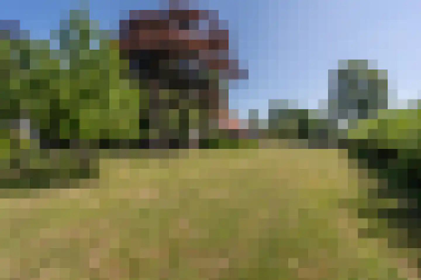 Brabersweg 25 Mijnsheerenland thumbnail 57