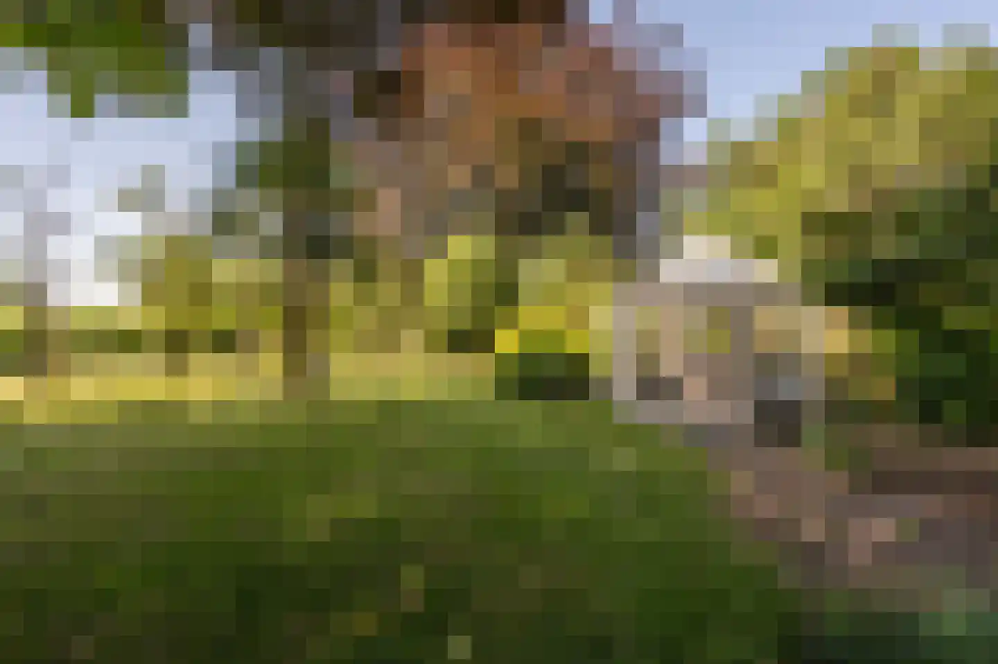 Brabersweg 25 Mijnsheerenland thumbnail 59