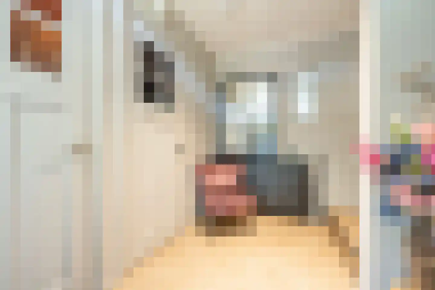 Brabersweg 25 Mijnsheerenland thumbnail 6