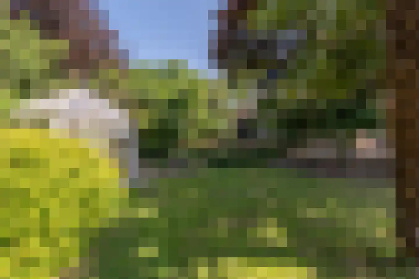 Brabersweg 25 Mijnsheerenland thumbnail 60