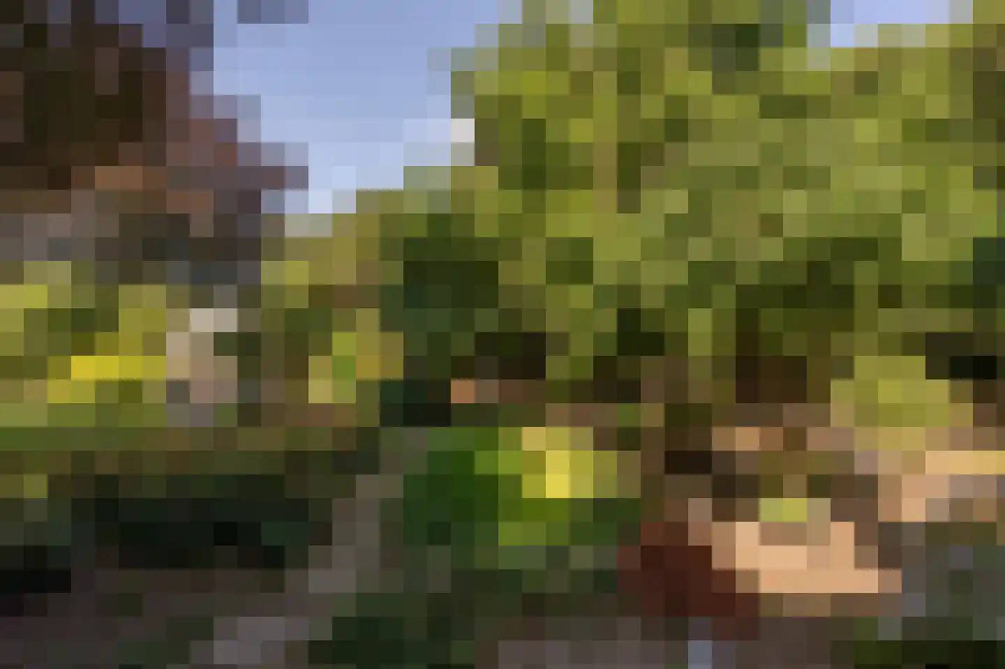 Brabersweg 25 Mijnsheerenland thumbnail 62
