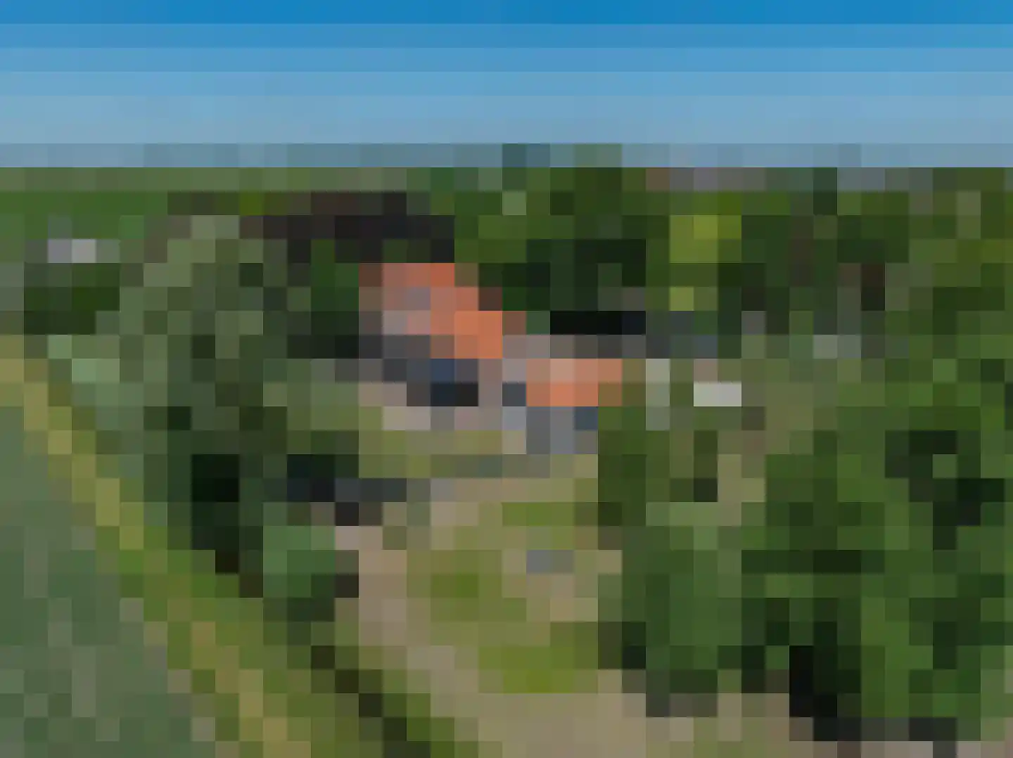 Brabersweg 25 Mijnsheerenland thumbnail 63