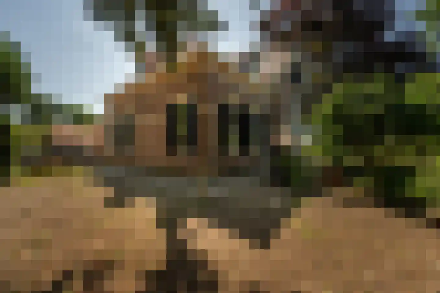 Brabersweg 25 Mijnsheerenland thumbnail 64