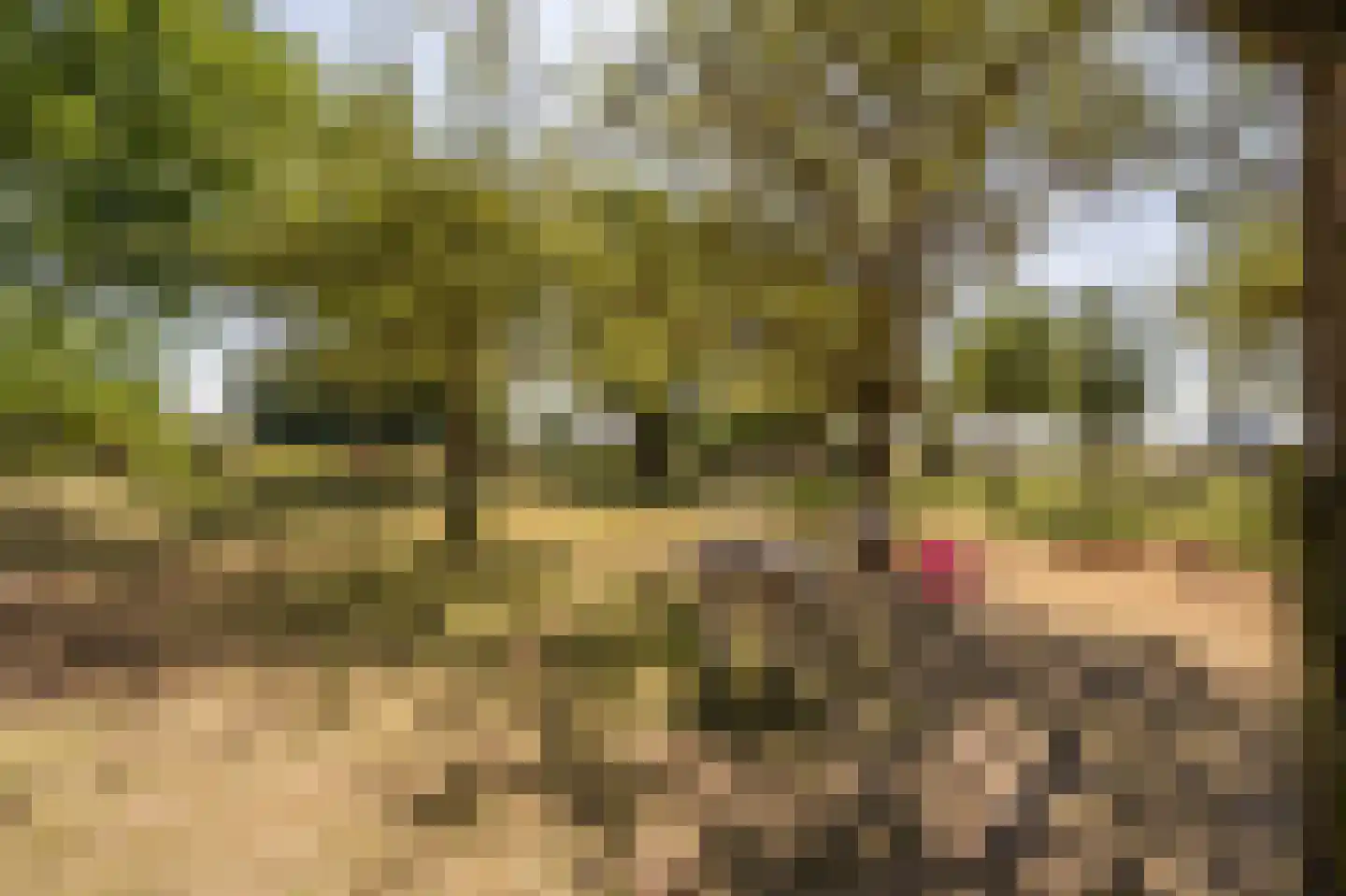 Brabersweg 25 Mijnsheerenland thumbnail 65