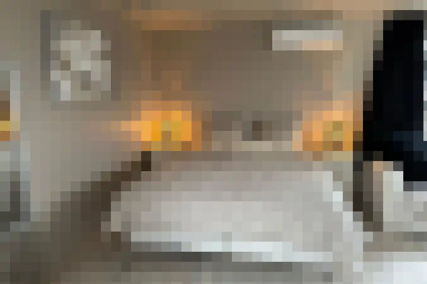 Brabersweg 25 Mijnsheerenland thumbnail 69