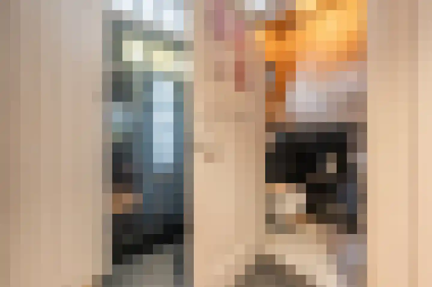 Brabersweg 25 Mijnsheerenland thumbnail 7