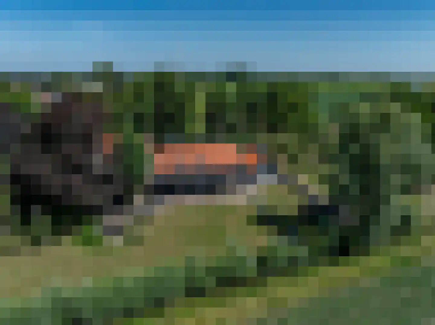 Brabersweg 25 Mijnsheerenland thumbnail 71