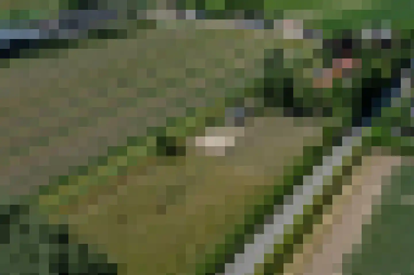 Brabersweg 25 Mijnsheerenland thumbnail 73