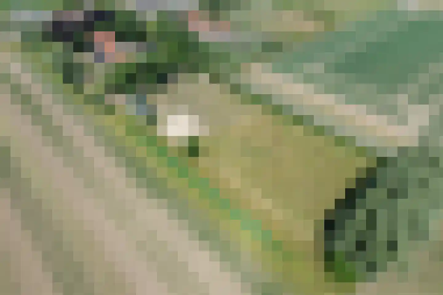 Brabersweg 25 Mijnsheerenland thumbnail 74