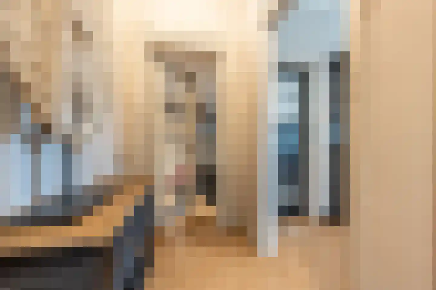 Brabersweg 25 Mijnsheerenland thumbnail 8