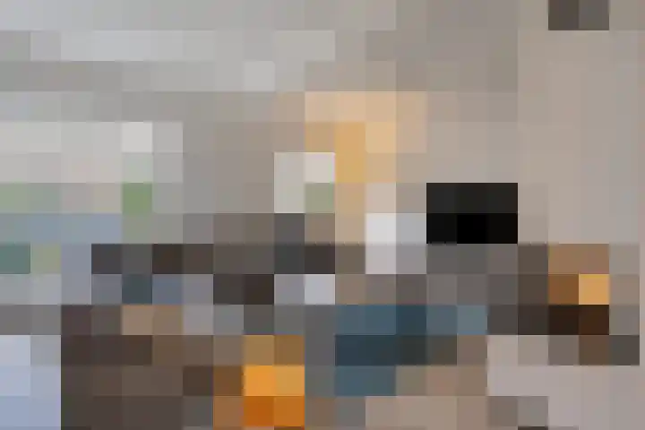 Brabis 19 Eindhoven thumbnail 15