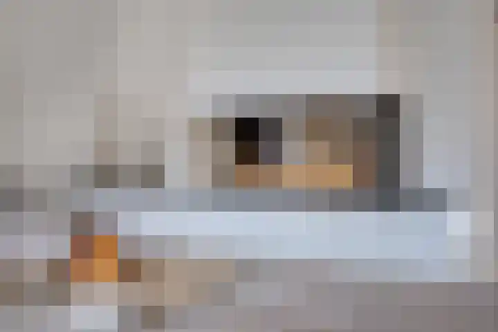 Brabis 19 Eindhoven thumbnail 20