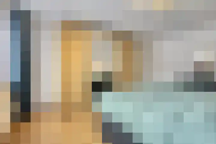 Brabis 19 Eindhoven thumbnail 35
