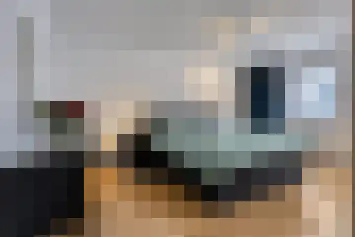 Brabis 19 Eindhoven thumbnail 4