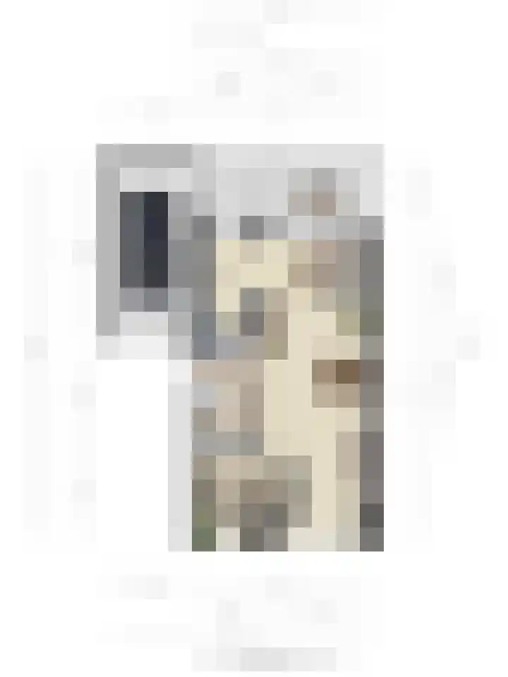 Brabis 19 Eindhoven thumbnail 55