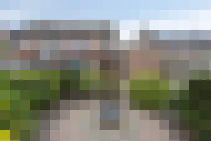Brabis 19 Eindhoven thumbnail 6