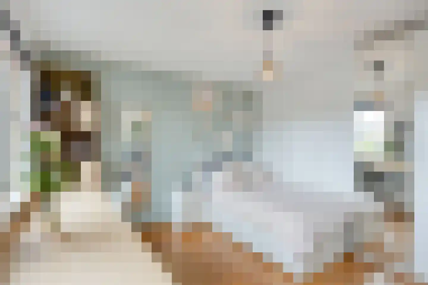 Brabis 23 Eindhoven thumbnail 20