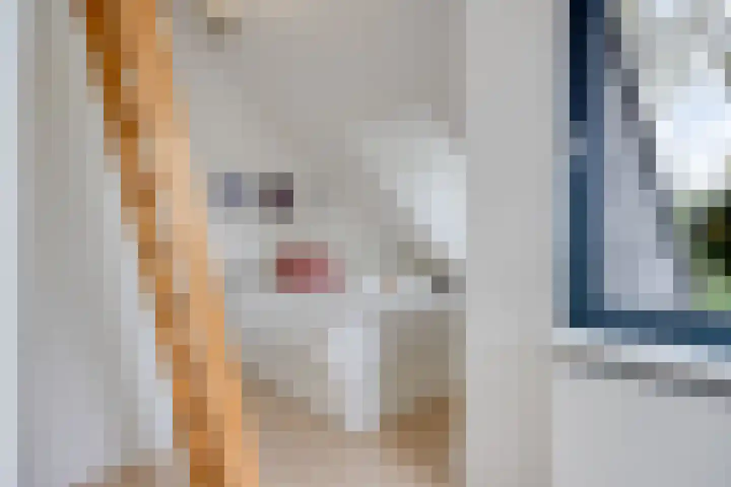 Brabis 23 Eindhoven thumbnail 23