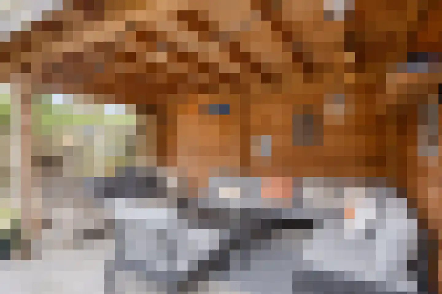 Brabis 23 Eindhoven thumbnail 37