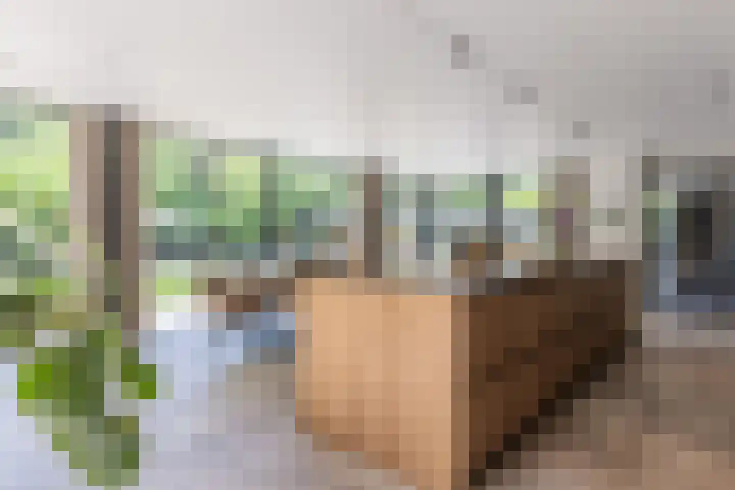 Bracamonteweg 14 Mook thumbnail 13