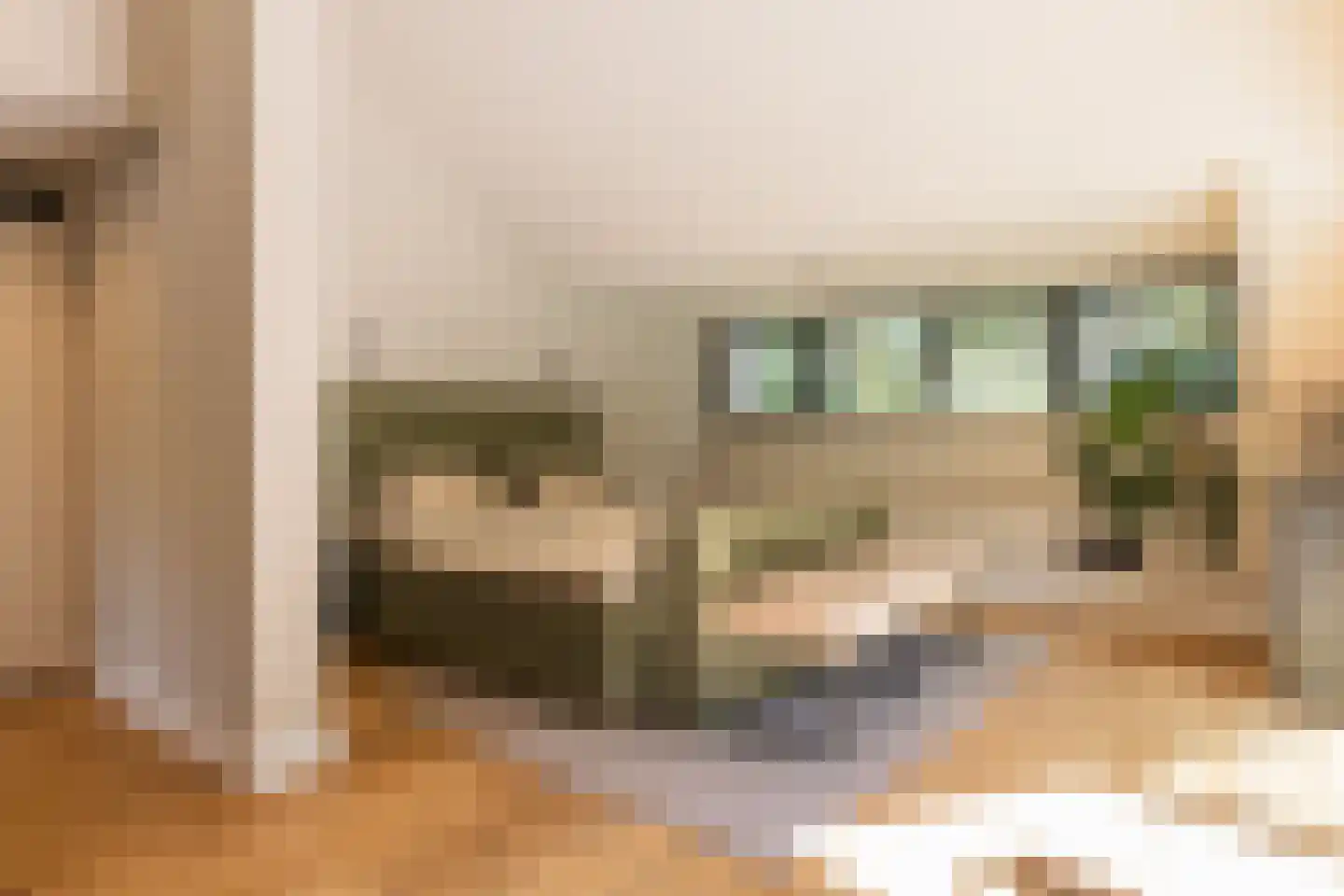 Bracamonteweg 14 Mook thumbnail 26