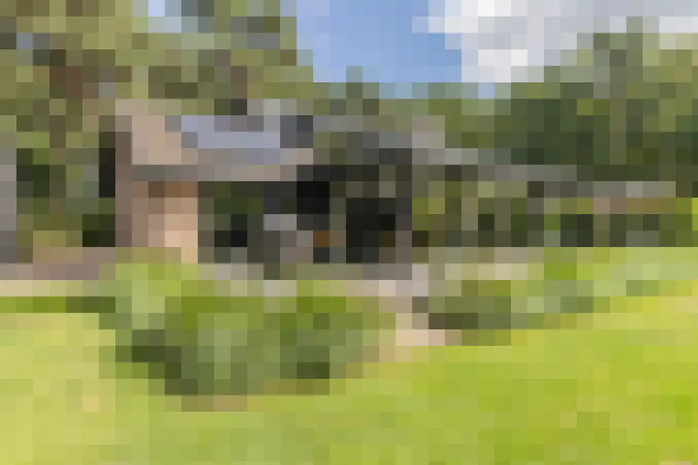 Bracamonteweg 14 Mook thumbnail 32