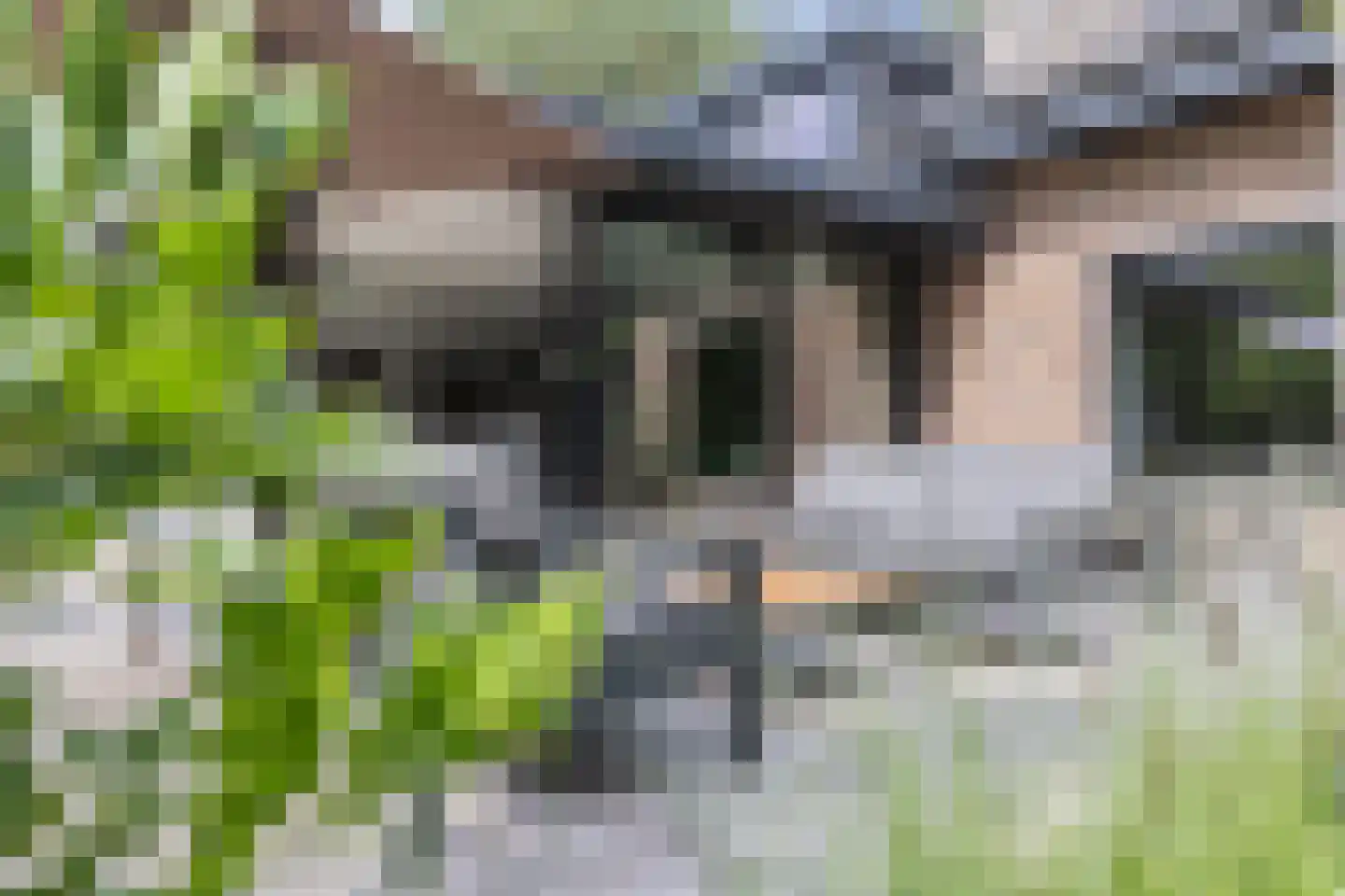 Bracamonteweg 14 Mook thumbnail 33