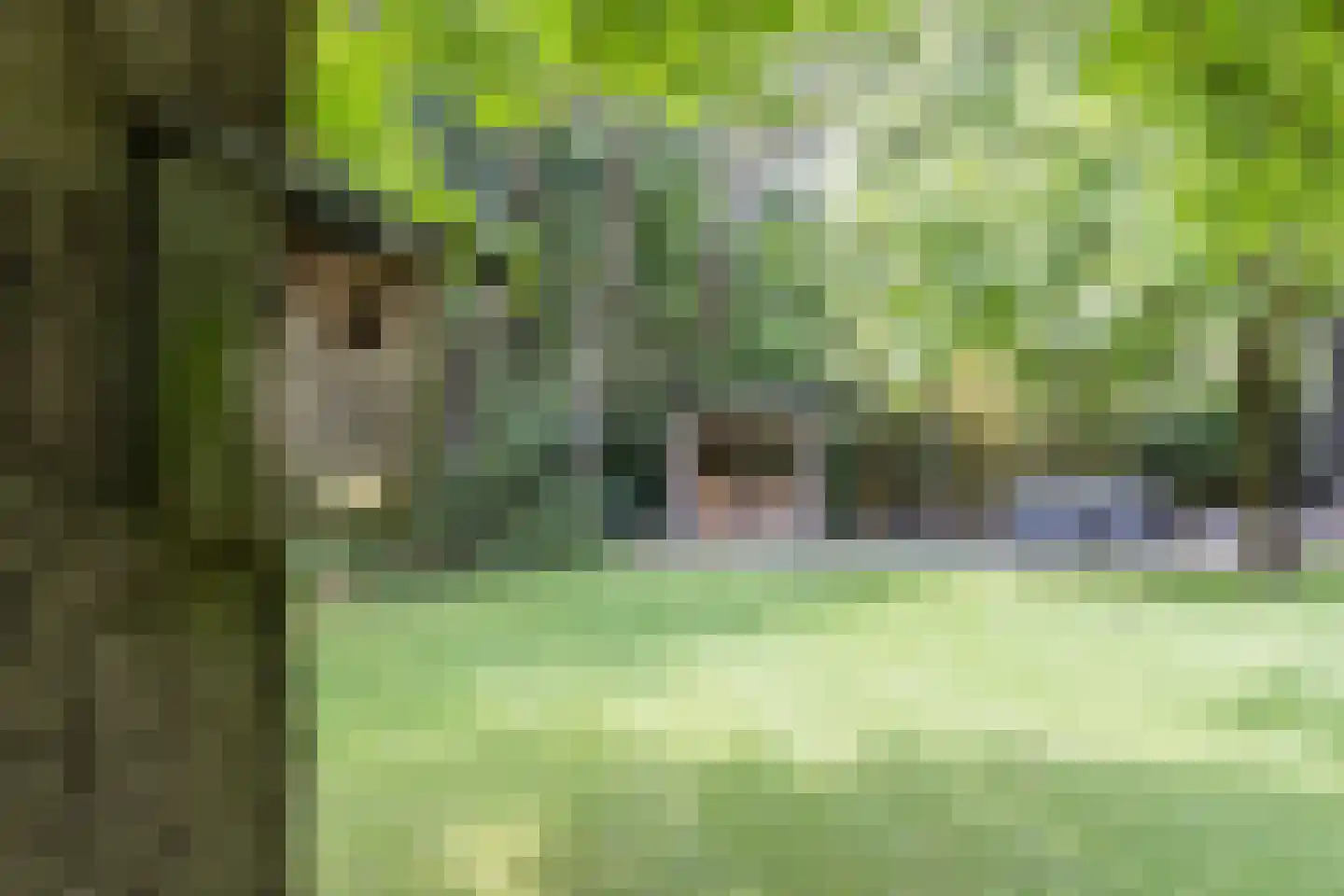 Bracamonteweg 14 Mook thumbnail 36
