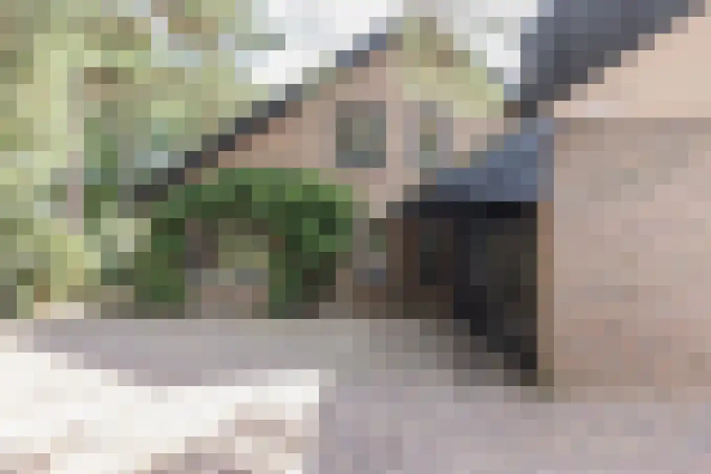 Bracamonteweg 14 Mook thumbnail 39