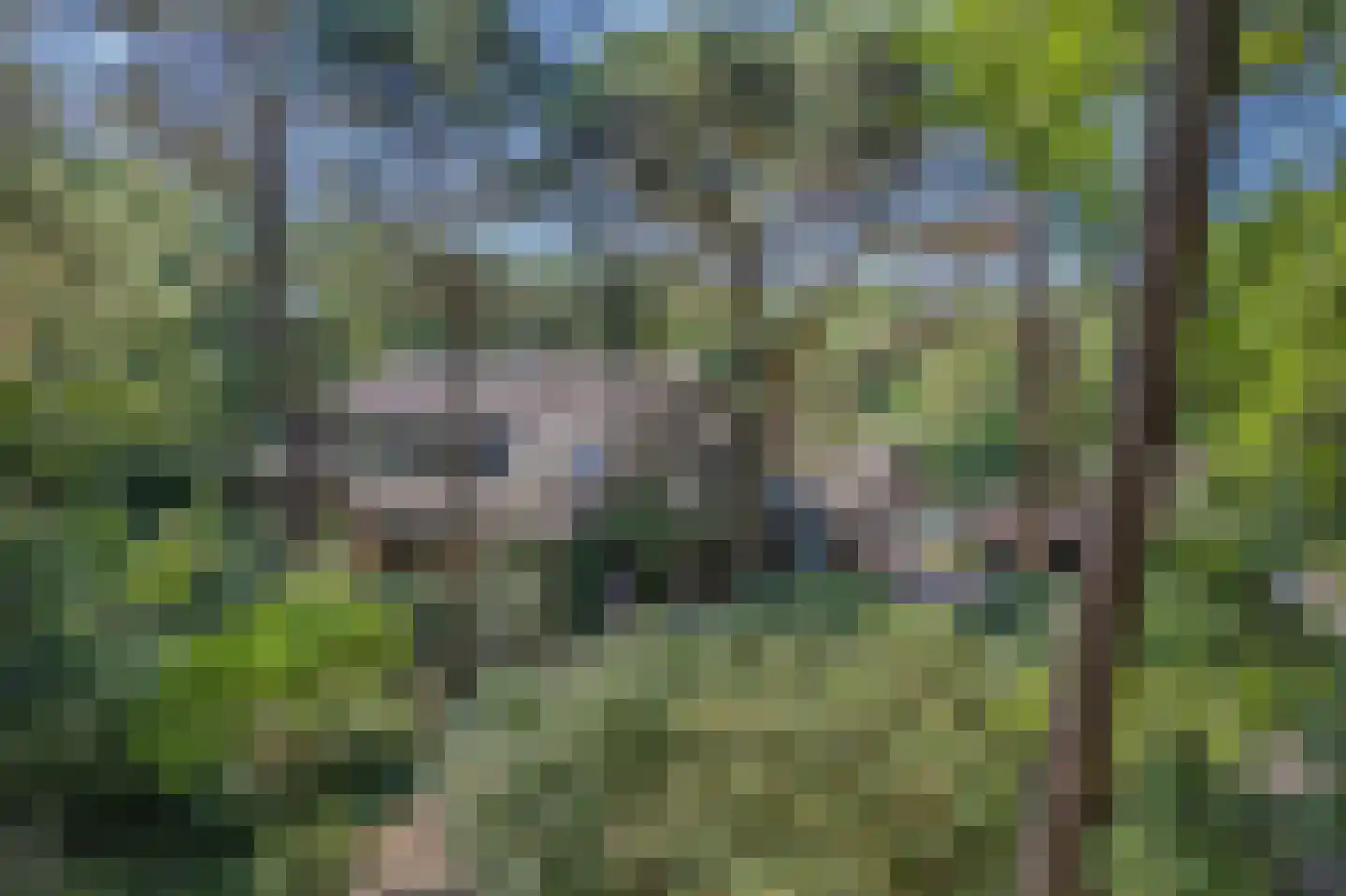 Bracamonteweg 14 Mook thumbnail 5
