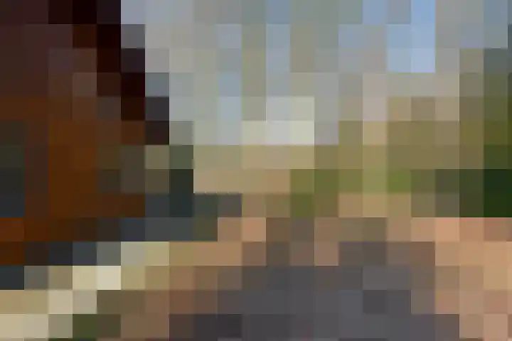 Bracamonteweg 5 Mook thumbnail 22