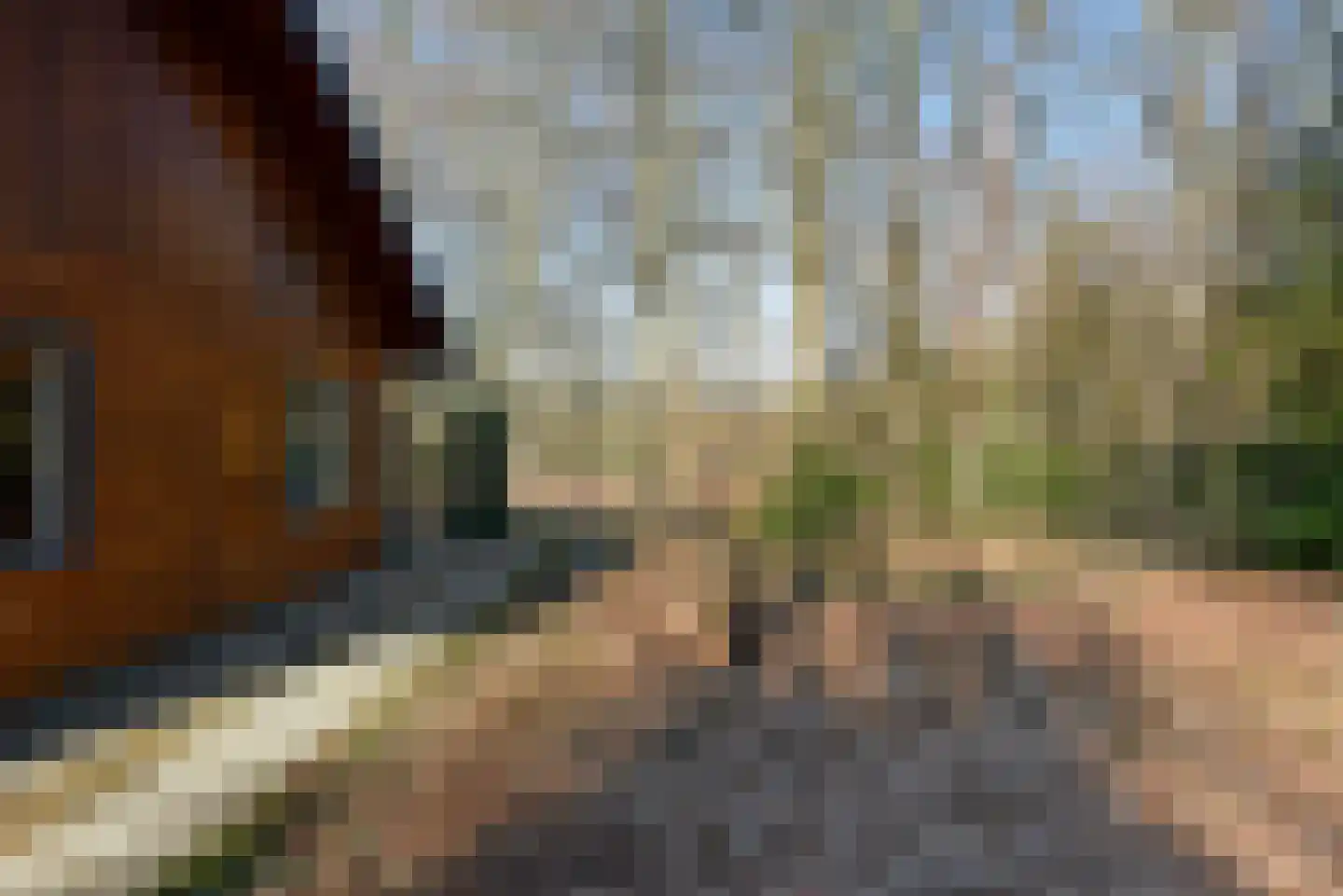 Bracamonteweg 5 Mook thumbnail 22