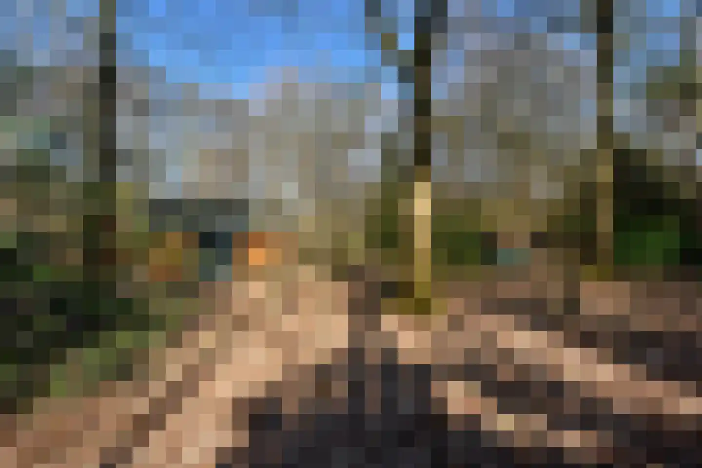 Bracamonteweg 5 Mook thumbnail 25