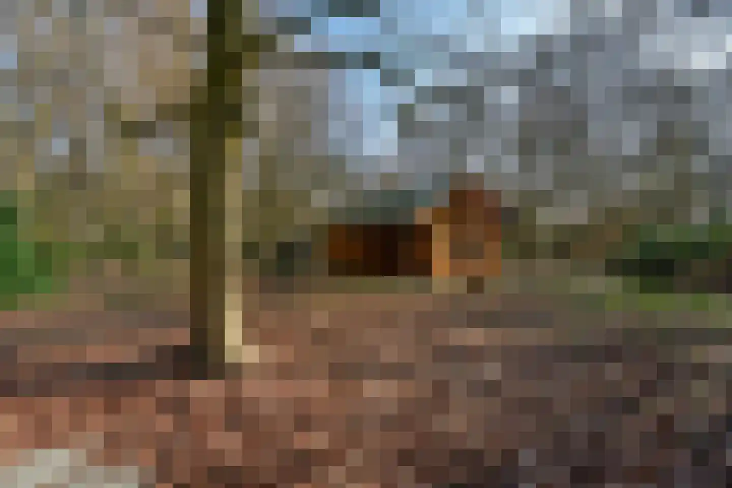 Bracamonteweg 5 Mook thumbnail 26