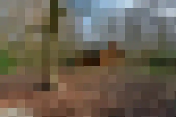 Bracamonteweg 5 Mook thumbnail 26