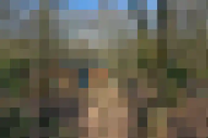 Bracamonteweg 5 Mook thumbnail 27