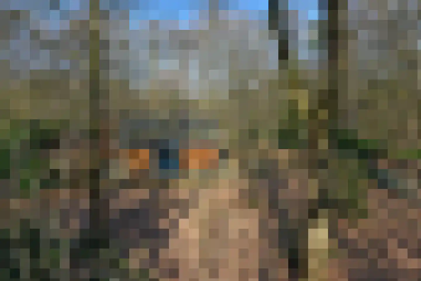 Bracamonteweg 5 Mook thumbnail 27