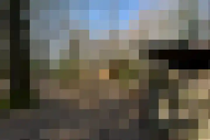 Bracamonteweg 5 Mook thumbnail 28