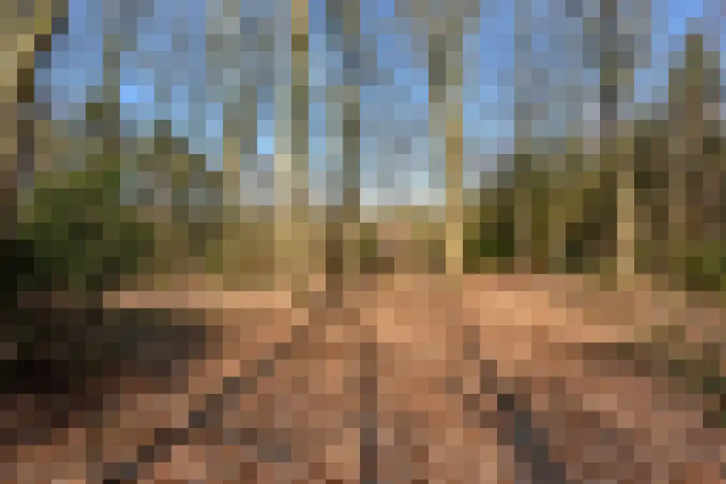 Bracamonteweg 5 Mook thumbnail 29