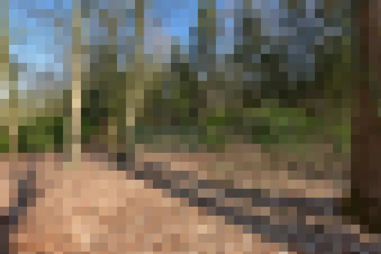 Bracamonteweg 5 Mook thumbnail 30