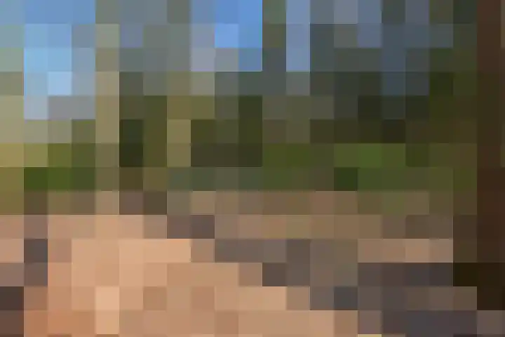 Bracamonteweg 5 Mook thumbnail 30